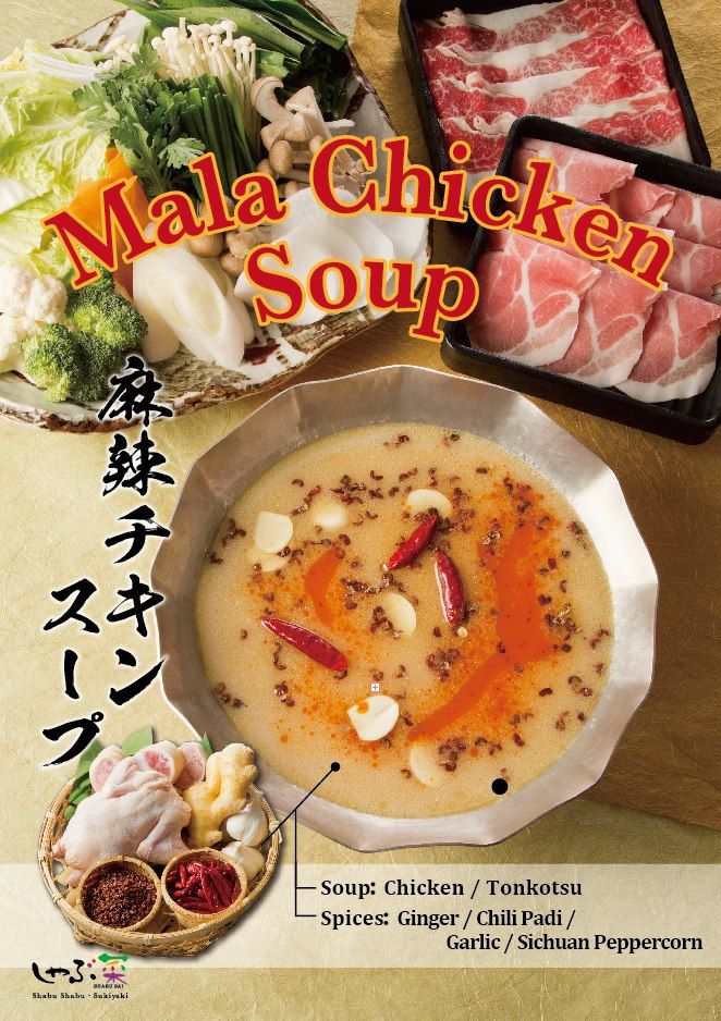 Mala Chicken soup